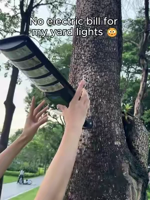 A brighter yard without extra costs 🔥#outdoorlights#solarlights  #yardlights  ld-0727-2-LDX