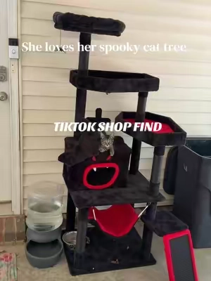 #cattree #catmom 