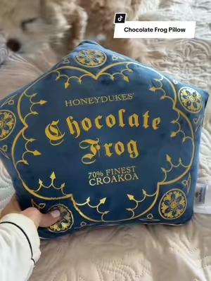 She’s such a big potter fan and she’s been wanting this pillow FOREVER!! can’t wait to give it to her. @@Jay Franco Home##chocolatefrogpillow##chocolatefrog##potterfan##throwpillows