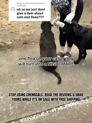 Replying to @shannonmacias87 @Bug MD over everythingggggg #fleas #fleasandticks #fleaandtickseason #fleaandtickprevention #tiktokshopcreatorpicks 