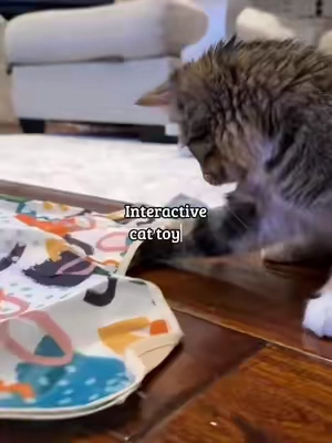 10/10 perfect toy for your bored kitty🐾😸🤭💕#catsoftiktok #kittensoftiktok #cattoys #viralvideo #foryoupage 
