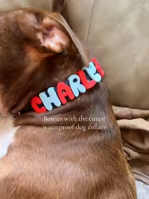I love that these dog collars are customizable, water proof, don’t irritate their necks, and so easy to wash! 
