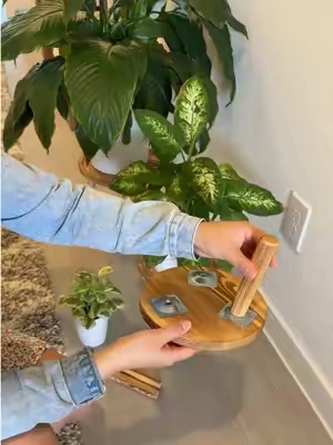 Eleva tus plantas con este set de 3 bases de madera , puedes poner macetas de 6 a 12 pulgadas y se verán mucho más bonitas  #plantstand #woodplantstand #homedecor #tiktokshopcreatorpicks #tiktokshopbacktoschool 