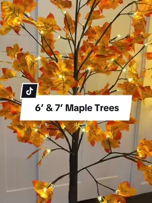 Fall decor is here, and the best pieces always sell out long before peak season. 🍁 These lighted maple trees instantly add cozy curb appeal with beautiful fall color during the day and a warm glow at night. If you’re decorating your front porch, entryway, or patio this year, don’t wait until September to start shopping. #FallDecor #FallFrontPorch #AutumnDecor #CozyHome #LightedMapleTree   