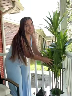 Una planta para decorar tu hogar que luce muy linda y real y te incluye hasta su maceta ,yo elegí la de 5 pies pero hay otras medidas 