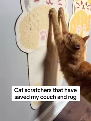 Lifesavers over here! #cats #catenrichment #catscratcher #catmusthaves #petmusthaves 