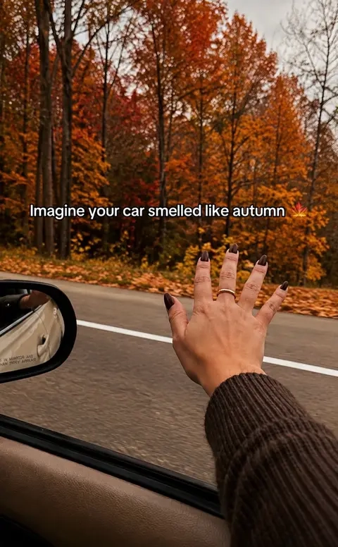 7669878971550469389