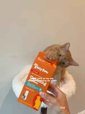 Need a vibe shift? ✨🐱Our Cat Calming Diffuser helps create a calmer environment for your cat, because when they chill out, everyone else does too. 🧡#Cat #CatTips #CatLife