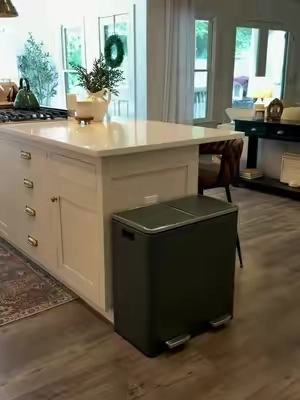 aesthetic, slow close, double-bins and fingerprint proof✨🤌 and the moody colors are everything! @SONGMICS HOME #trashcan #kitchenorganization #aesthetichome #kitchenessentials #homeessentials moody home, moody decor, moody vibe, aesthetic kitchen 