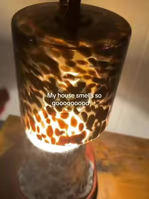 They can’t keep it in stock!!! The leopard print warmer is 100% worth the hype!!! Comes with two bulbs! #leopardprint #leopardprintwarmer #candlewarmer #candlelampwarmer  #homedecor 