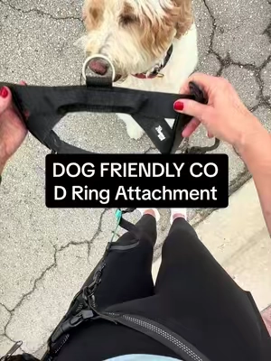 #dogharness #dogleash #dogleashes 