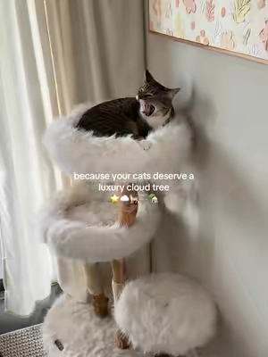 the dreamiest cat tower I’ve ever seen, why do I want to feel the cloud too??? once again we’ve found another luxe cat tree that is super high quality, made to fit your home aesthetic, and last over the years- clearly my cats love it already!! #fyp #cats #catsoftiktok #cattree #cattower 