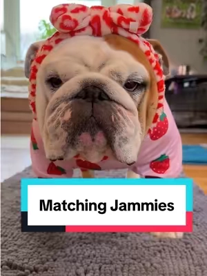 Matching dog & owner jammie's.  #dogjammies #dogpajamas #dogclothes #matchingjammies #matchingpajamas 