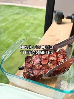 Now thisssss is a perfect steak FINALLY 🤏🏼🥩 @Ninja Kitchen #meatthermometer #dadgift #giftformen #husbandgift #grillingessentials 