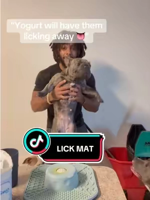 The best snack for your dogs ‼️‼️ #fyp #viral #dogs #dogsoftiktok #lickmat 