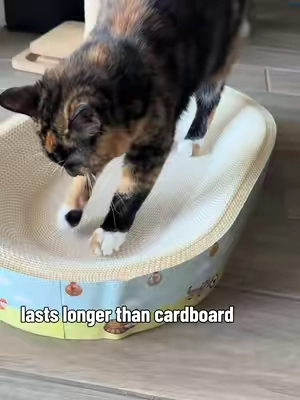 Replying to @Tricia lasts longer than cardboard scratchers and doubles as a bed! My cats are obsessed #catscratcher #scratcher #catbed #catfurniture #catstuff 