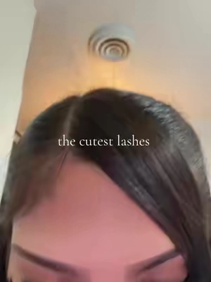 #lashclusters #fyp #eyebrowsonfleek #fypシ゚viral 