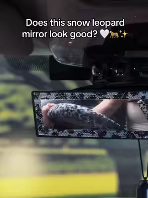 If you think it’s cute… take a breath 😮‍💨💕#caraccessories #queensland #GirlsDriveWithQueensland #tiktokshop #carupgrade 
