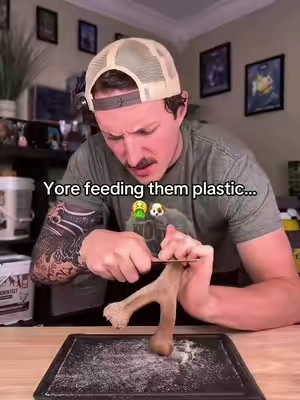 This is so gross to learn about these nylon bones.. #dogfood #dog #dogs #dogtreats #pet 