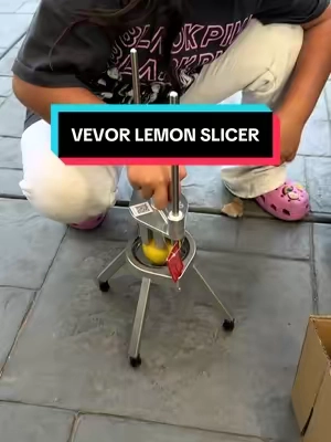 Surprising her with lemon slicer for her lemonade stand this summer #fyp #vevor #lemonade #slicer #fruit @VEVOR Home Improvement 