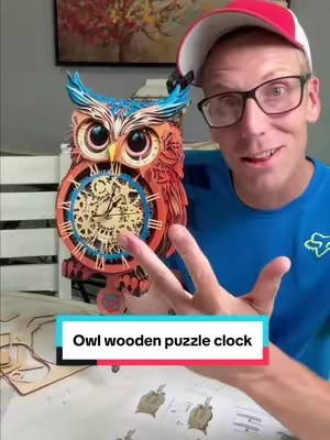 Wooden puzzle set! #woodenpuzzle #owlpuzzle #puzzlelovers 
