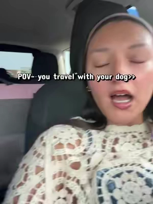 #petsfit #travelingdog #travelingwithdogs #crate #collapsiblecrate 