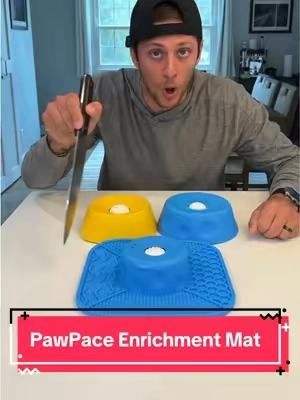 The upgrades to the new one are insane! 🤯🐶 #dogparents #dogessentials #dogenrichment #tiktokshopcreatorpicks #petlovers 