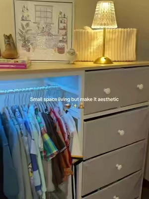 #smallspaceliving #closetorganization #TikTokshopbacktoschool #homeorganization #dresser 