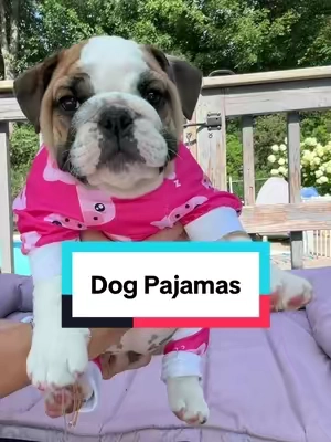 Nothing cuter then a puppy in Pajamas! #dogjammies #dogpajamas #dogclothes #petpajama #pajamaparty 