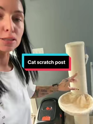 I got Nova a scratch post #catlover #catsoftiktok #scratchpost #cattoys 
