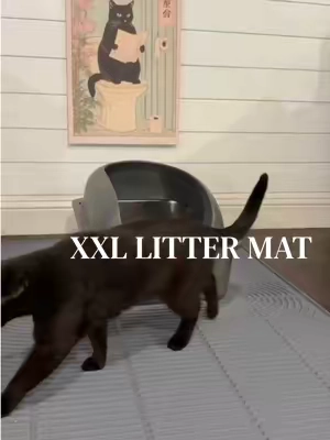 If you’re needing a new litter mat, this one is really good at reducing litter tracking. #littermat #litterbox #catmom #catproducts #catsoftiktok 