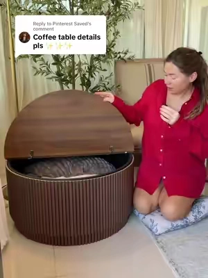Replying to @Pinterest Saved so much storage!!! #coffeetable #modernfurniture #modernfurnituredesign #modernhome #homefinds @giratreestore 