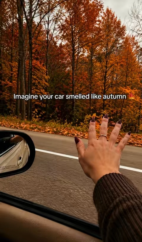 #carfreshener #fall #scentedcarfreshener 