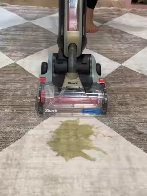 There’s a lot hidden in the rugs 🤢 #sharkcarpetforce #carpetcleaner #sharkcarpetcleaner 