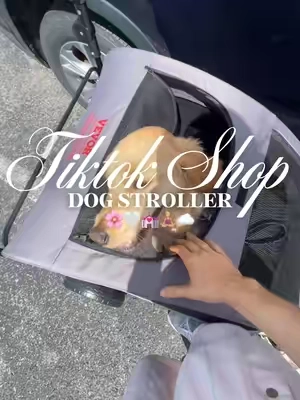 Dog stroller 🌸🤍💒🧘🏼‍♀️☁️#fyp #dogstroller #dogaccessories #dogwalk #dogwalker 