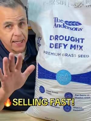 🔥 SELLING FAST! The Andersons Drought Defy Premium Cool-Season Grass Seed Mix. Description *   Fescue, Kentucky Bluegrass and Perennial Rye Blend *   Ideal for transition zones and cool-season turf locations *   Excellent drought and heat tolerance once established *   99.9% weed seed-tree *   For sunny or shaded areas *   Deep green color, improved disease resistance and extreme wear tolerance once established #creatorsearchinsights #summervibes #dealsforyoudays   @Andersons Lawn  #creatorsearchinsights #lawnfixing 