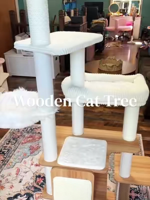The prettiest wooden cat tree ✨ #cattree #cattrees #tiktokshopcreatorpicks 