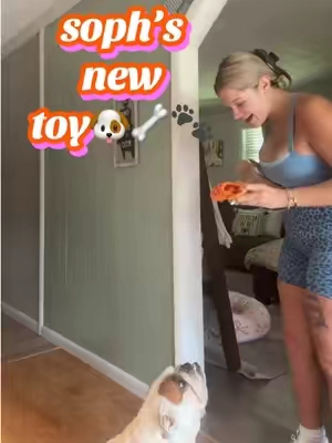 safe to say sophie likes her new toy🤣 #dogtoy #englishbulldog #dogs 