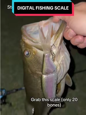 Stop guessing the weight of your fish #fishing #fishinggear #bassfishing #fishtok #tiktokshopcreatorpicks 