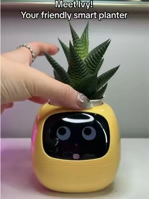 Such a cute little pet planter! 🥹🌱 Perfect for those of us who don’t have the greenest thumb 😭 Luckily, Ivy will take care of that for you 💚 @FaddishDeal #petplanter #smartplanter #plantcare #planthack #PlantLover 