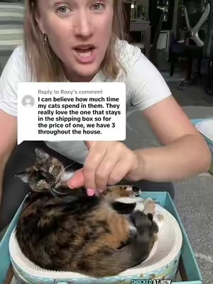 Replying to @Roxy I was shocked too! I thought they would just scratch them but they love to lay in them also. #catscratcher #scratcher #catbed #sohochic #BackToSchool 