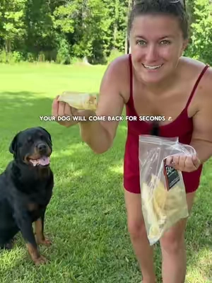Quick dental treat for your pup thats single ingredient and doesn’t have all those additives! #dogdental #dogtreat #lambear #dentaltreats @Wild Wolf Bully Sticks 