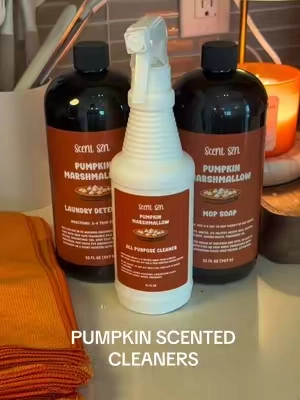pumpkin scented cleaners?!?! yes pls #fallcleaning #fallvibes #pumpkinscent #pumpkinspiceseason #fallcleanup 