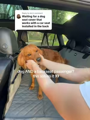 Replying to @shy you don’t have to wait any longer!!  @Pecute Official  #carseatcover #dogcarseatcover #automobileaccessories 