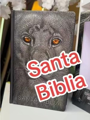 🚨Al final les leo unas palabras de DIOS 🙏….. @Flowerburst Biblia Reina-Valera Revisada 1960, letra grande, edición especial León de Judá, color plata, con índice y canto negro, cubierta 3D y tapa dura. #summervibe #tiktokshopsummersale #TikTokshopbacktoschool #biblia #santabiblia 