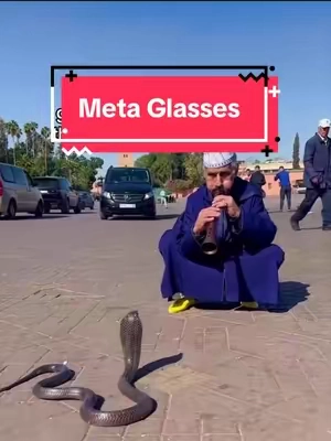 this is actually such a crazy sale #meta #glasses #rayban #snake #discount 