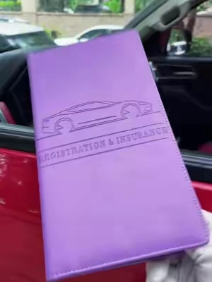 Mi mujer siempre tenía un lío de papeles en el coche y después de comprarle esta bolsa organizadora de archivos para el coche, ¡los papeles quedaron ordenados! 62J #cardholderwallet #carhacks #gift #🇺🇸 #tiktokmademebuyit           