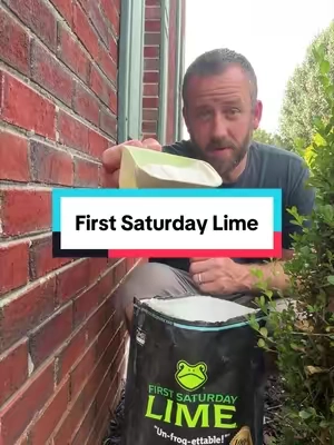 First Saturday Lime Insect Repellent #firstsaturdaylime #insectrepellent #lime #tiktokshopcreatorpicks 