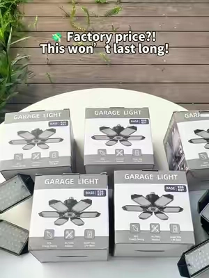 Nobody expected this garage light to be this cheap 😱#garagelight #ledgaragelight #garageupgrade   ckd-0810-1-LDX