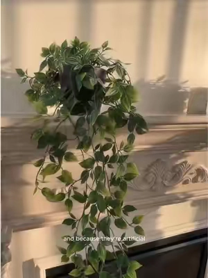 Clean minimal aesthetic that brings nature inside without the stress of daily watering.#fauxplants  #HangingPlants  #RoomDecor #RoomReset  #cozyhome 